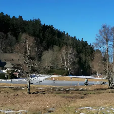 Chalet-sonnengarten 아파트 *