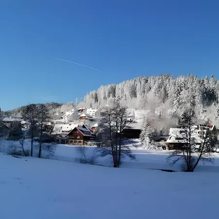 Apartment Chalet-sonnengarten Hinterzarten