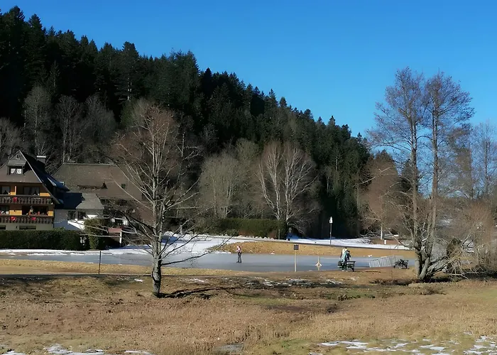 Chalet-sonnengarten Lägenhet *