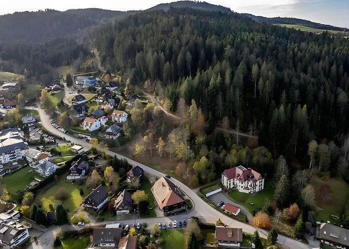 Chalet-sonnengarten Lägenhet Hinterzarten