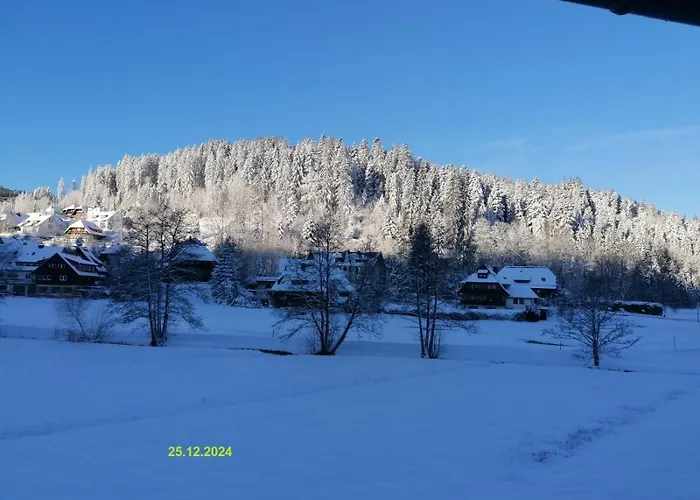 Chalet-sonnengarten Lägenhet *